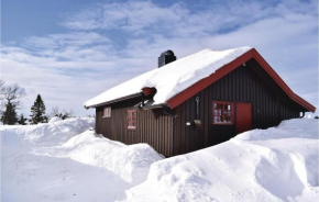 Two-Bedroom Holiday Home in Sjusjoen, Sjusjøen